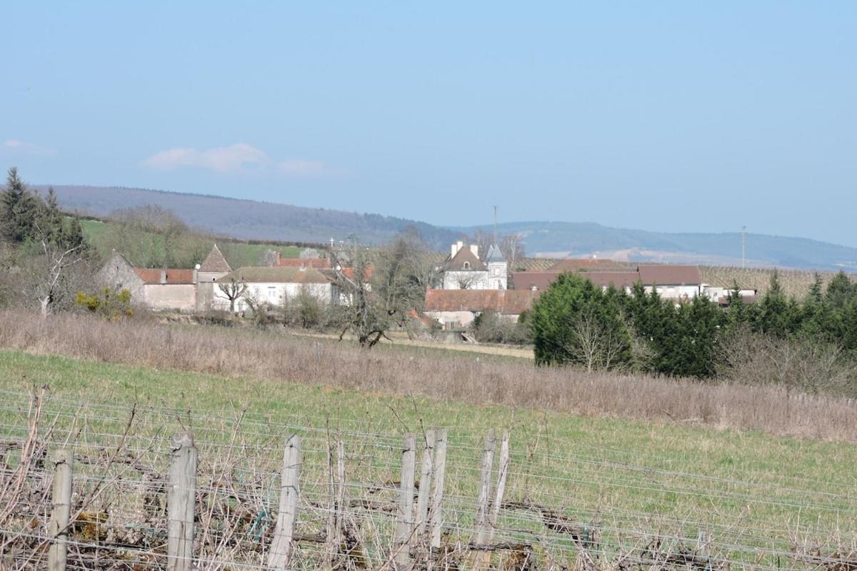 Gite Du Vigneron Chassey-le-Camp Extérieur photo